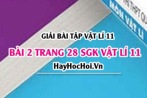 Giải bài 2 trang 28 SGK Vật lí 11